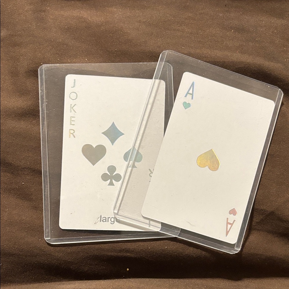 CD Christian Dior Playing Cards in Protective Sleeve
